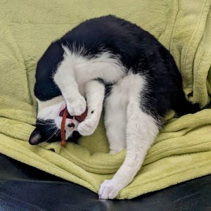 Therese ha añadido una foto de su compra