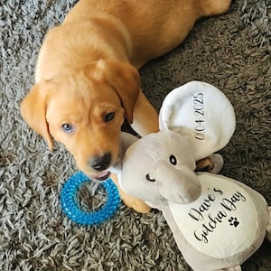 Francesca added a photo of their purchase