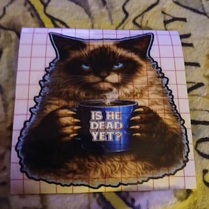 Erika added a photo of their purchase