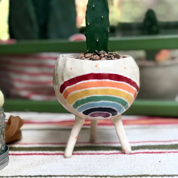 The Rainbow Pot Collection - Ceramic, Handmade Succulent Pot Cactus Pot ...