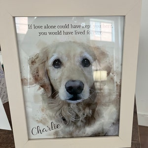 Shannon added a photo of their purchase