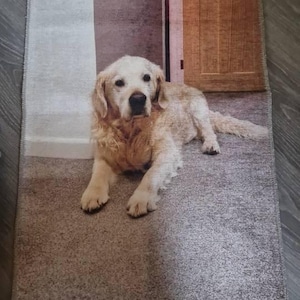 Polly added a photo of their purchase