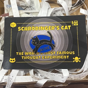 Pin by Schrödinger on Best kitty-boy since 1944