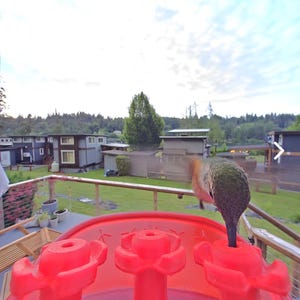 David added a photo of their purchase