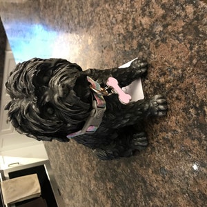 Fiona added a photo of their purchase