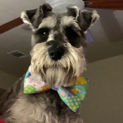 easter bunny bowtie