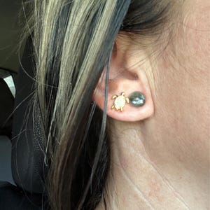 Harmony added a photo of their purchase