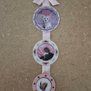 Umbridge's Lenticular Cat Plates Kit, Harry Wizarding School DIY ...