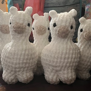 Patricia added a photo of their purchase