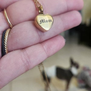 Renee added a photo of their purchase