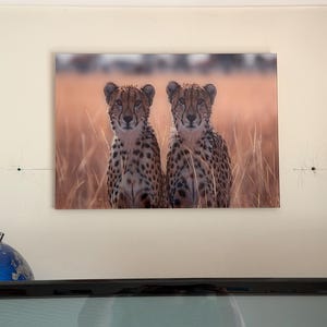 Chris added a photo of their purchase