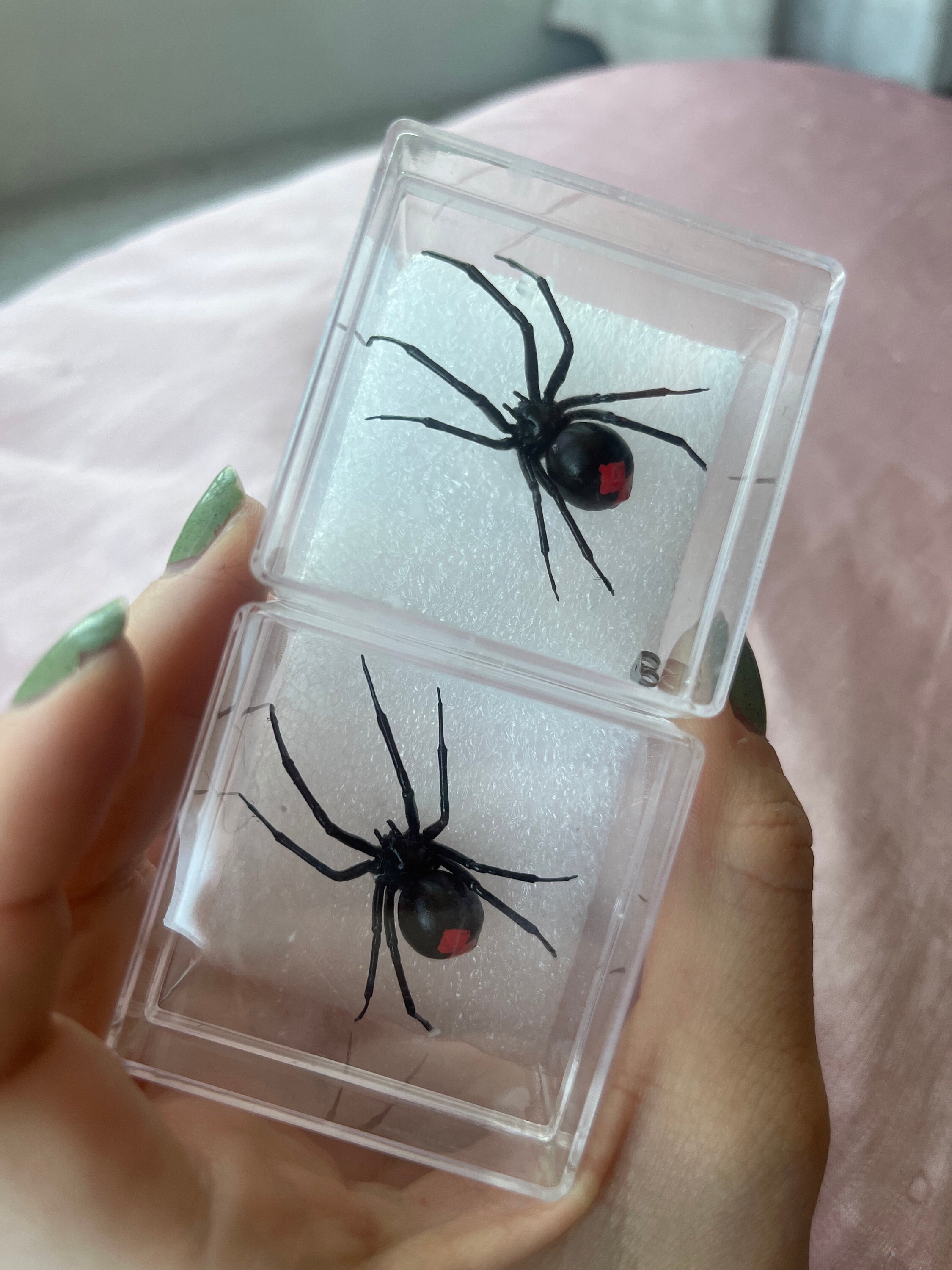 Plastic Black Widow Spider As An Earring, Realistic Latrodectus Hesperus, 1 pcs