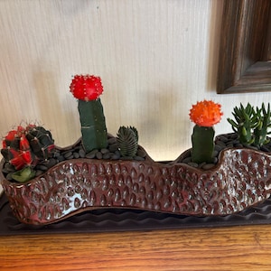 Katie added a photo of their purchase