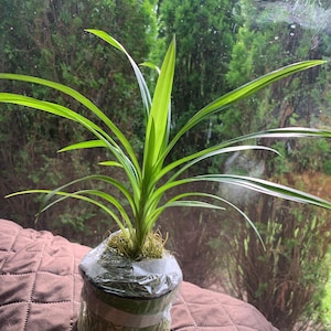 Angie added a photo of their purchase