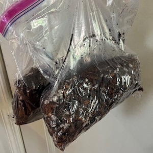 Elizabeth added a photo of their purchase