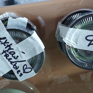 Inaktives Konto hat ein Foto des gekauften Artikels hinzugefügt