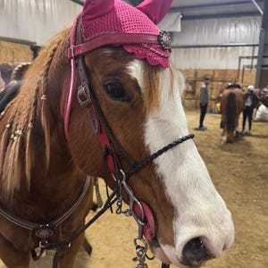 Brooklyn added a photo of their purchase
