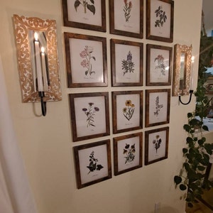 Louise ha añadido una foto de su compra