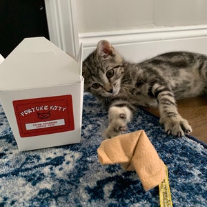 susan added a photo of their purchase
