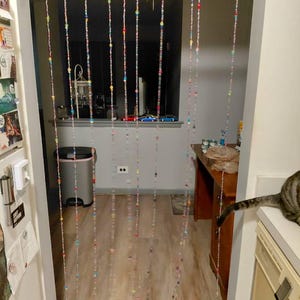 Kelly added a photo of their purchase
