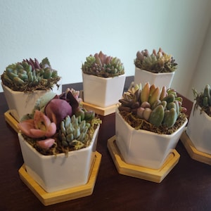 Shari added a photo of their purchase