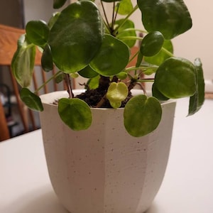 Jenny added a photo of their purchase