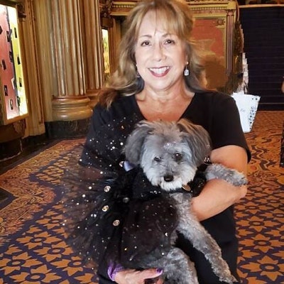 The Gingham & Lace Dog Dress main image 0