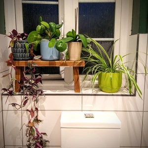 Felicity added a photo of their purchase