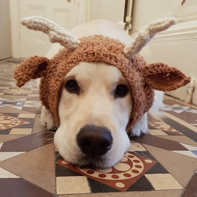 Reindeer Dog Snood, Reindeer Antler Hat for Large Dogs, Christmas Dog