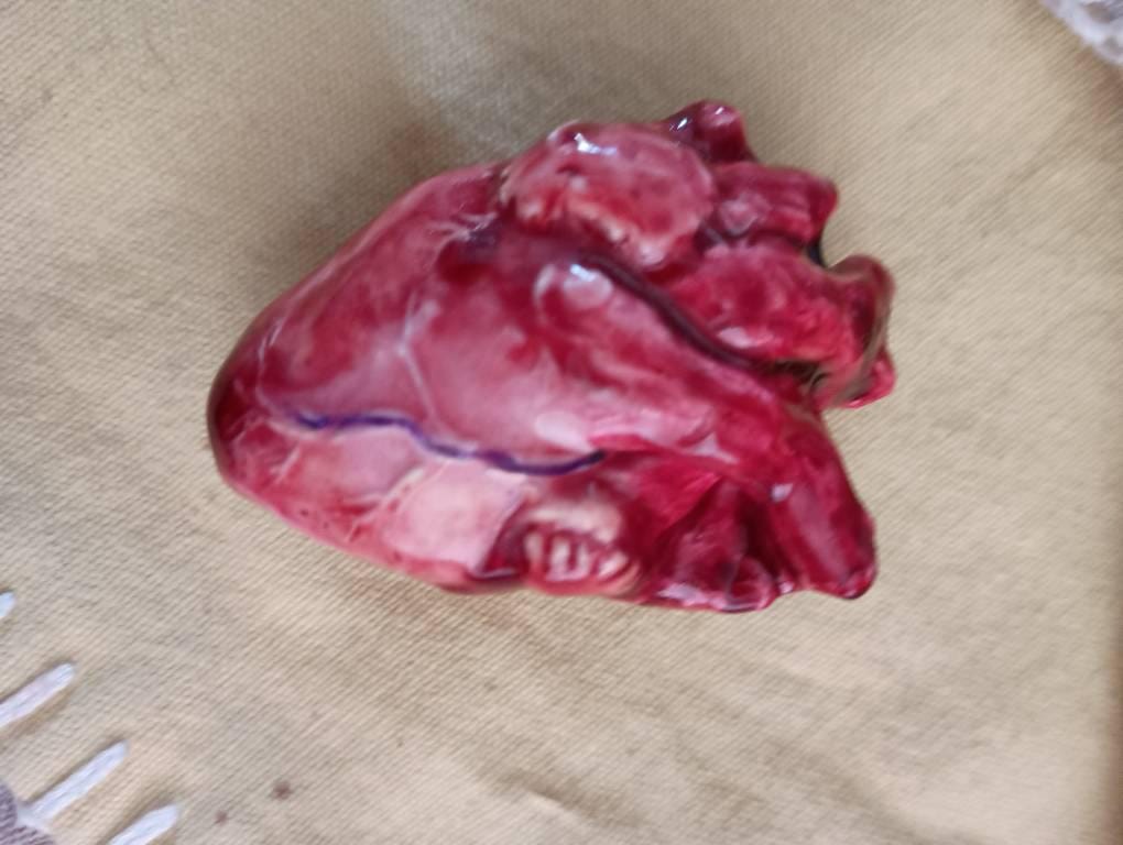 Life Size Human Heart,Handmade Heart,Realistic Heartc,Bloody Heart