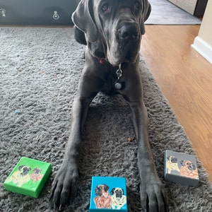 MJ hat ein Foto des gekauften Artikels hinzugefügt