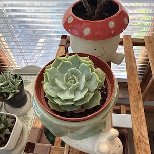 Sherri さんが購入した商品の写真を追加しました