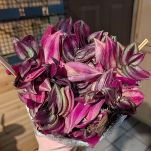 Comprador de Etsy ha añadido una foto de su compra