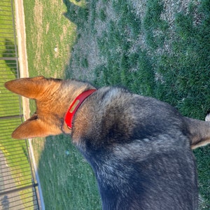 Jas ha aggiunto una foto del proprio acquisto