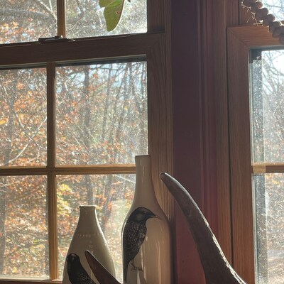 ONE Large Monarch Butterfly Migration Stickers Wall Art Decor for ...