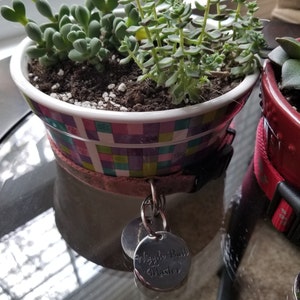 Kim added a photo of their purchase