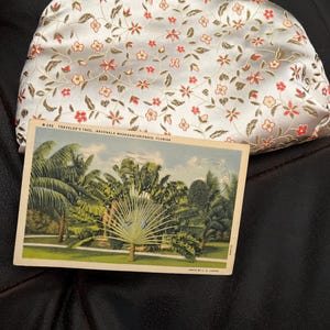 Justine added a photo of their purchase