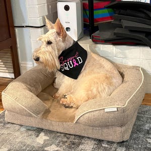 Debbie added a photo of their purchase
