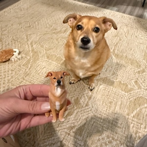 Ali added a photo of their purchase