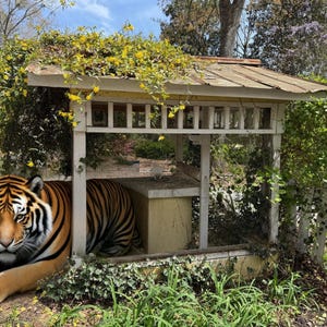 Heather added a photo of their purchase
