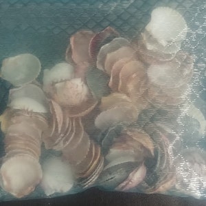 Kelly ha añadido una foto de su compra