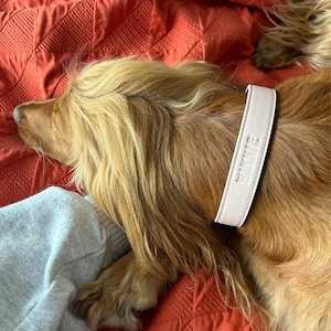 Evie added a photo of their purchase