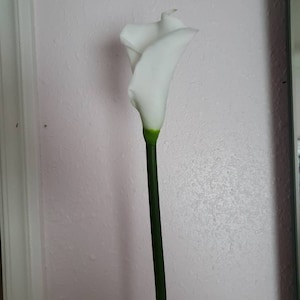 Sharon added a photo of their purchase