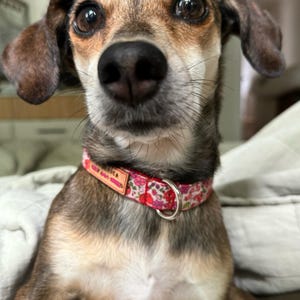 Lisa ha añadido una foto de su compra