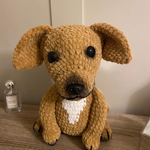 Jules added a photo of their purchase