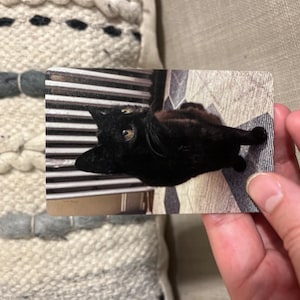 Jane さんが購入した商品の写真を追加しました