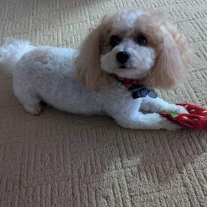 Donna added a photo of their purchase