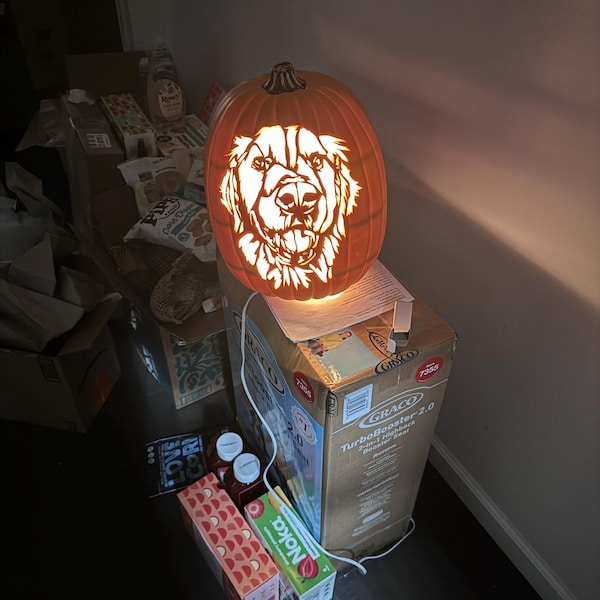 Custom Logo Carved Foam Pumpkin (business, Sports Team, Band, Movie, TV ...