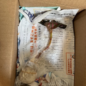 Etsy buyer added a photo of their purchase