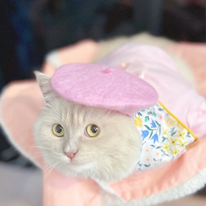 Chelsea Jin added a photo of their purchase